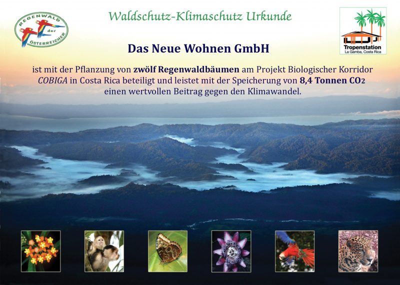 Klima Waldschutz Urkunde nachhaltig