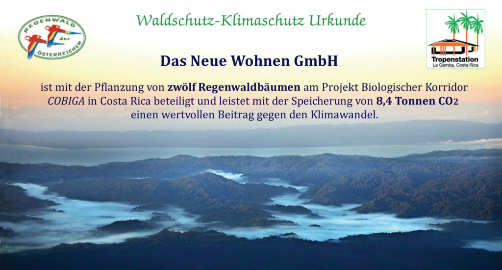 Klima Beitrag Baum Spende Regenwald