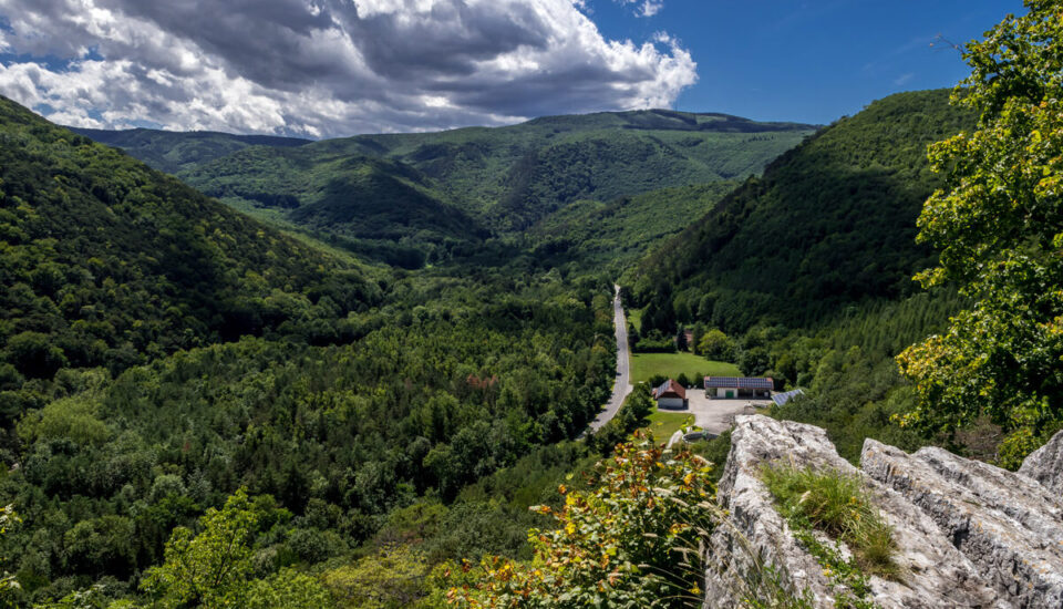 Helenental Ausblick Natur