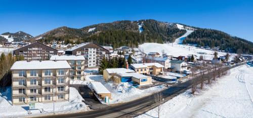 Elk-Haeuser-Mariazell-Winterlandschaft-5