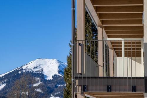 Elk-Haeuser-Mariazell-Winterlandschaft-9