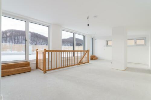 IMG 3956 (1) (1)